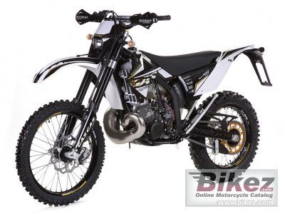 2010 GAS GAS EC 300 2T Racing photo